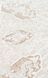 Килим крем-бежевий Palmira PLM 01 Cream Beige Розмір, см: 300*400 Туреччина 80700 фото 4